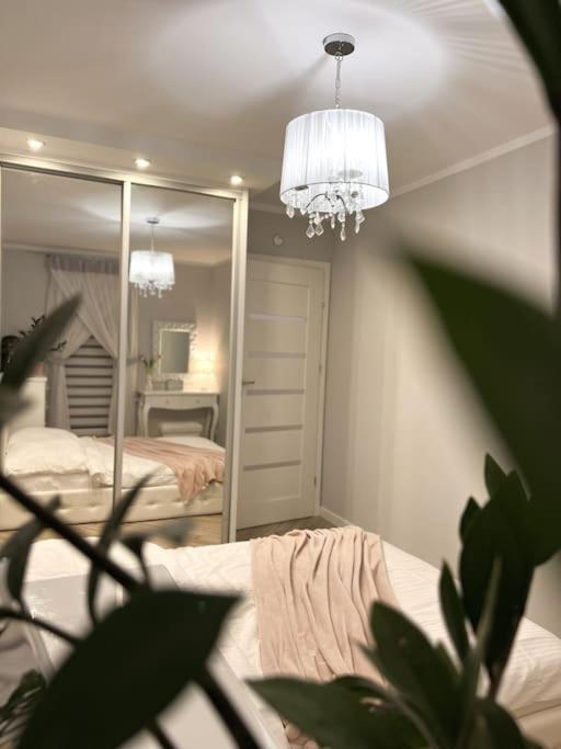 Apartament Zamojski Mlynska Zamość Kültér fotó