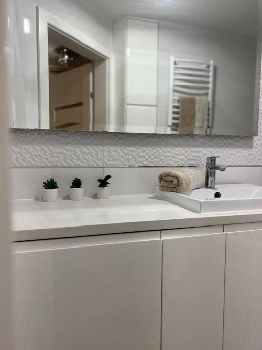 Apartament Zamojski Mlynska Zamość Kültér fotó